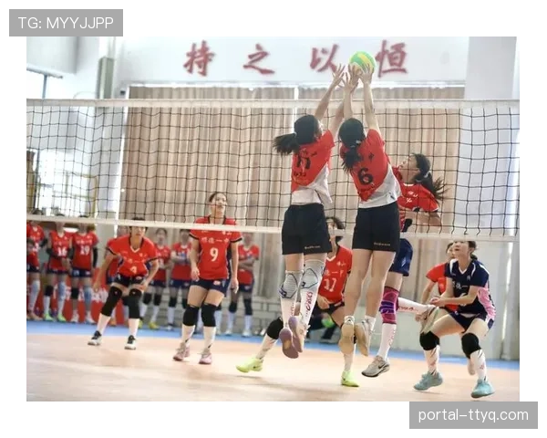 深度报道：排球运动员心理健康支持体系在全球联赛中的建立与应用